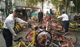 郑州自行车爆料视频最新,揭秘城市交通新现象